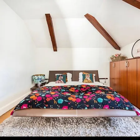 Bonnabel アパート ナンシー